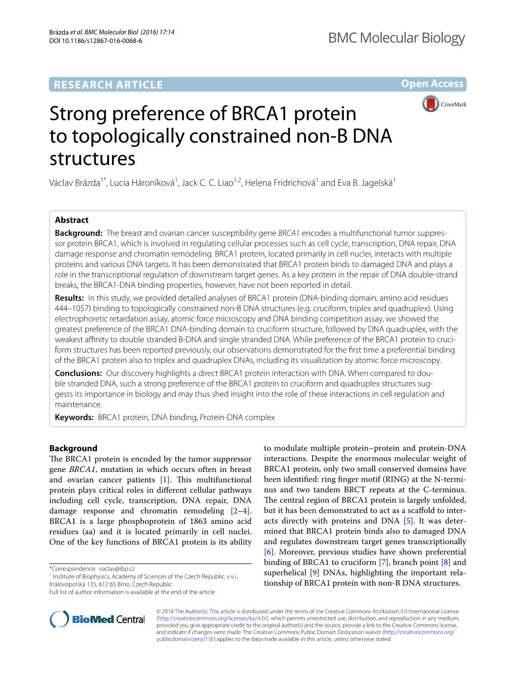 Strong Preference of BRCA1 Protein to Topologically Constrained Non-B