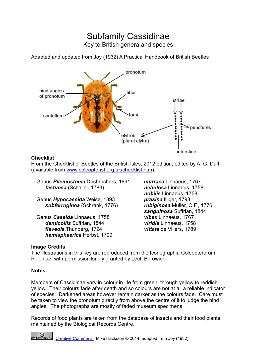 Subfamily-Cassidinae-Illustrated-Key