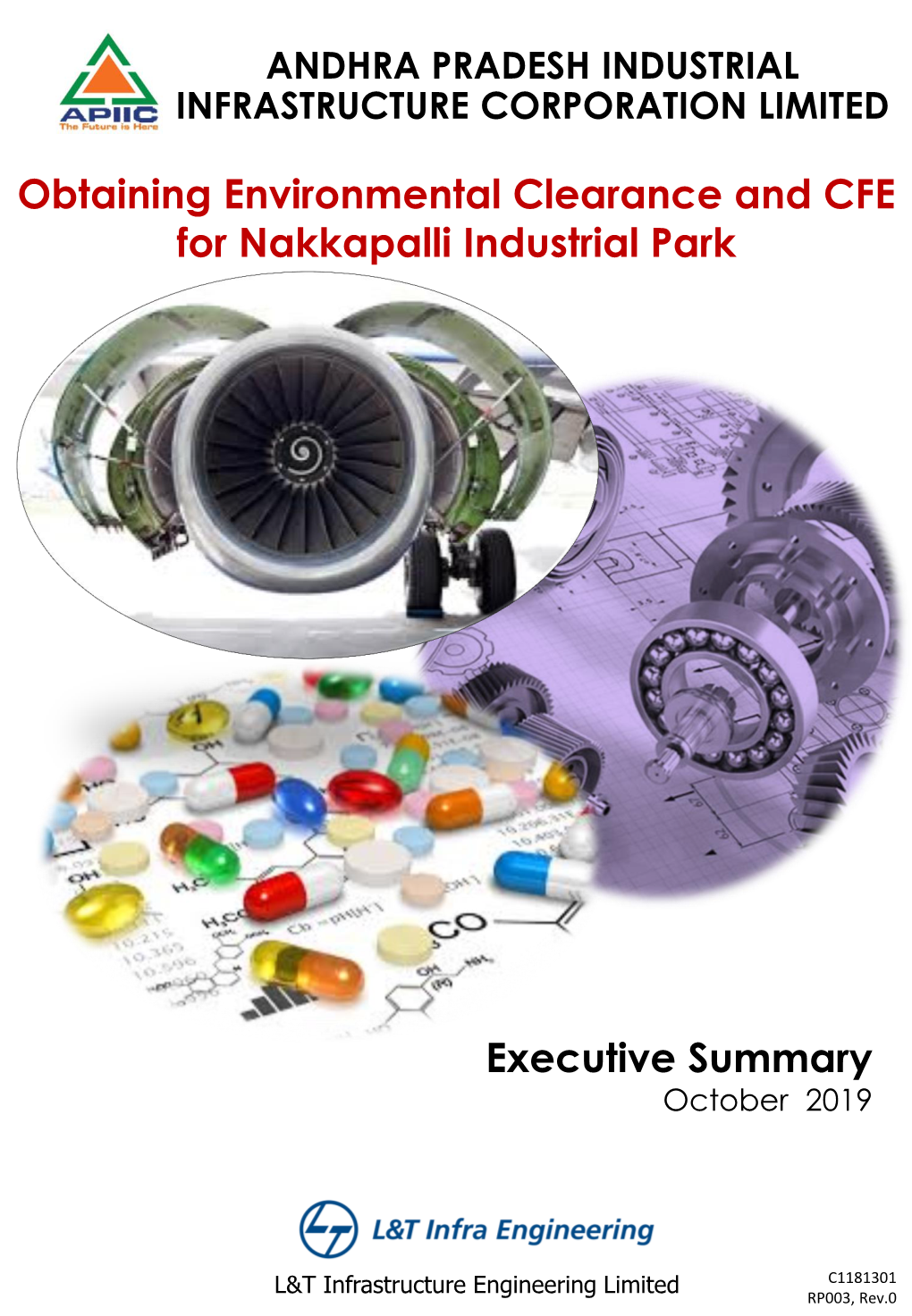 Obtaining Environmental Clearance and CFE for Nakkapalli Industrial Park