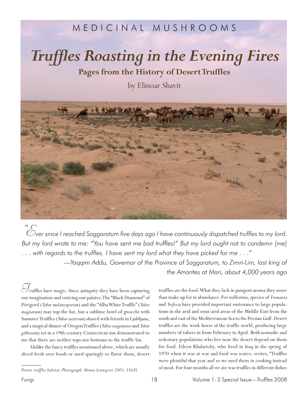 Truffles Roasting in the Evening Fires Pages from the History of Desert Truffles by Elinoar Shavit