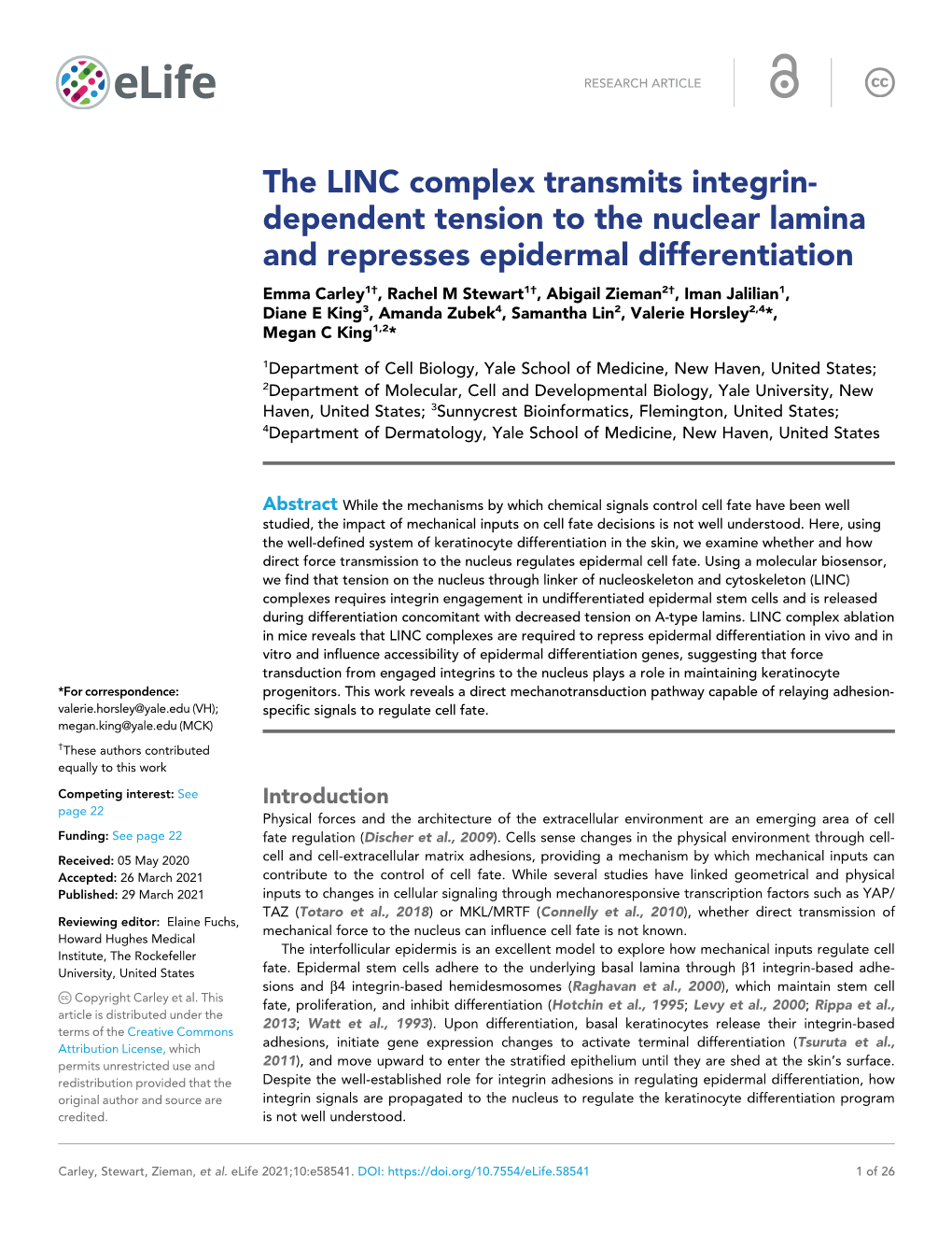 The LINC Complex Transmits Integrin- Dependent Tension to the Nuclear