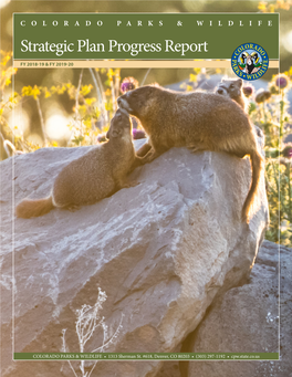 2019-2020 Strategic Plan Progress Report