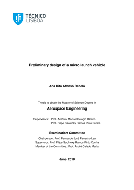 Preliminary Design of a Micro Launch Vehicle Aerospace Engineering