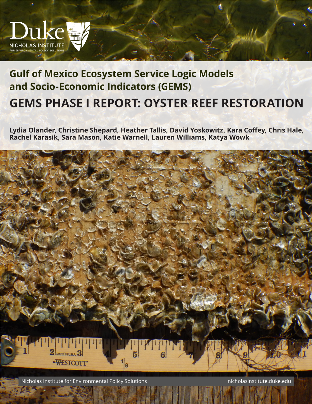 Oyster Reef Restoration