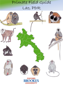 Primate Field Guide Lao, PDR Primate Field Guide – Lao PDR Illustrations, Text and Design by Camille N