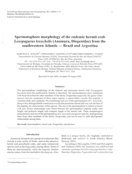 Spermatophore Morphology of the Endemic Hermit Crab Loxopagurus Loxochelis (Anomura, Diogenidae) from the Southwestern Atlantic - Brazil and Argentina
