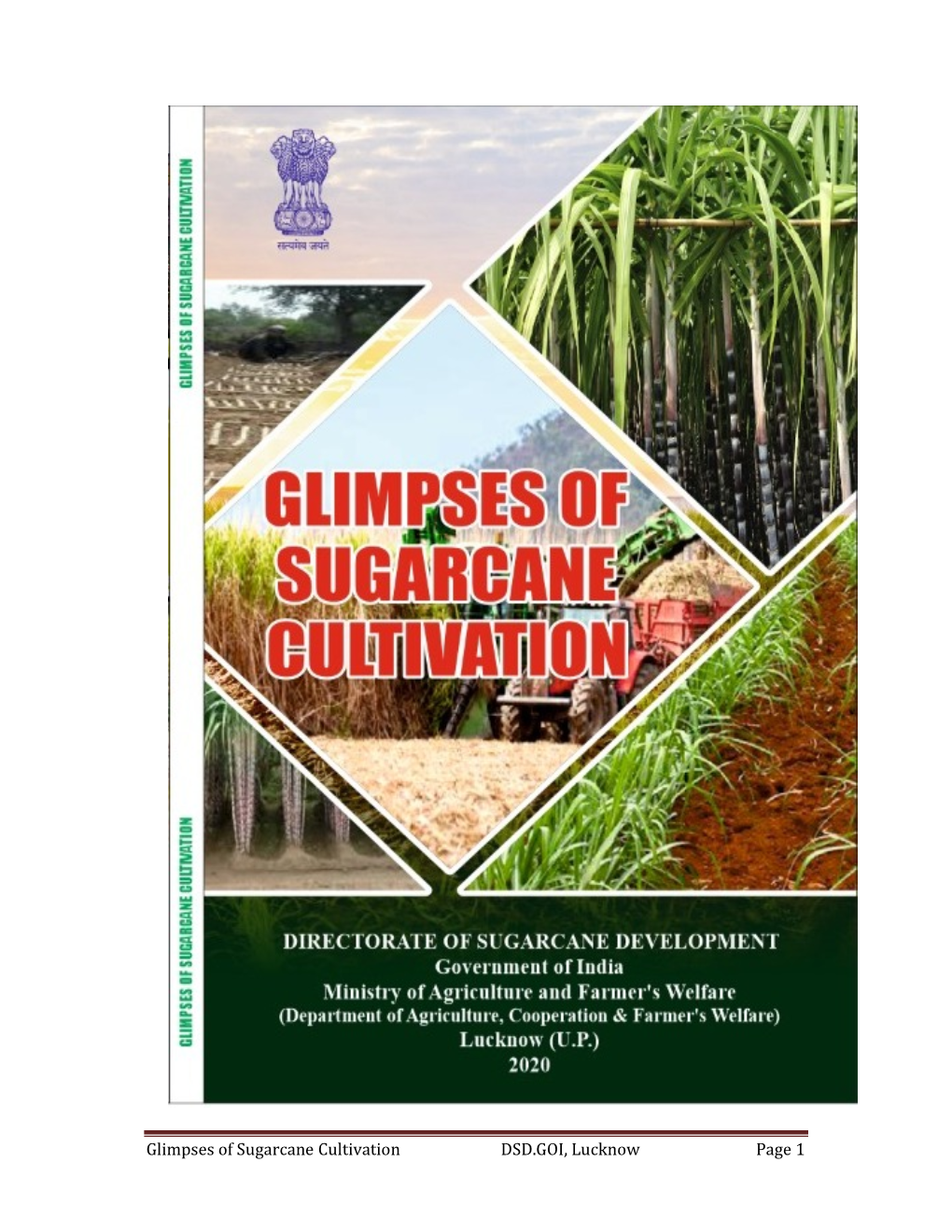 Glimpses of Sugarcane Cultivation 2020