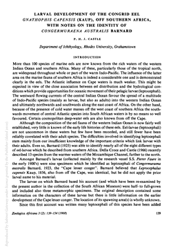 LARVAL DEVELOPMENT of the CONGRID EEL GNATHOPHIS CAPENSIS (KAUP), OFF SOUTHERN AFRICA, with NOTES on the IDENTITY of More Than 1