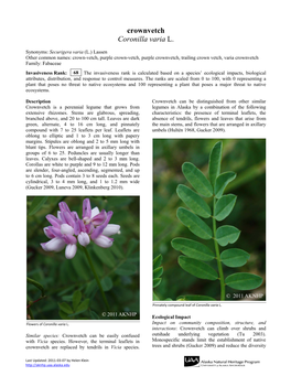 Crownvetch Coronilla Varia L