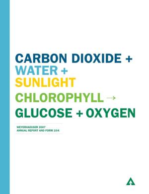 Carbon Dioxide + Water + Sunlight Chlorophyll Glucose + Oxygen