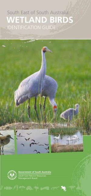 Wetland Birds Identification Guide