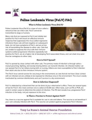 Feline Leukemia Virus (Felv) FAQ What Is Feline Leukemia Virus (Felv)? Feline Leukemia Virus (Felv) Is a Type of Virus Called a Retrovirus That Can Infect Cats
