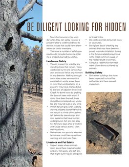 Be Diligent Looking for Hidden Dangers on Property Following Fire