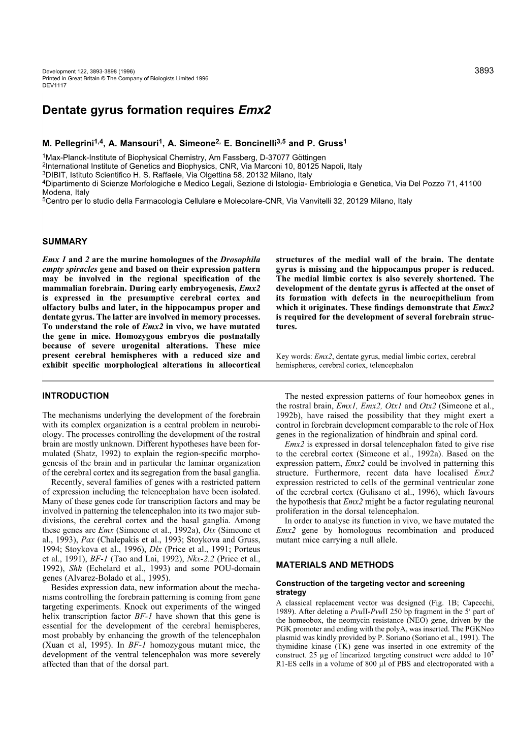 Dentate Gyrus Formation Requires Emx2