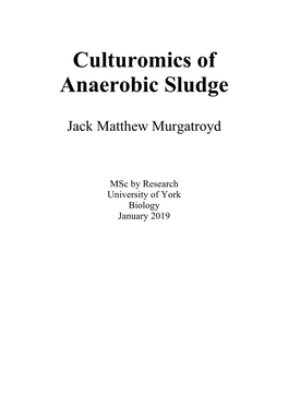 Culturomics of Anaerobic Sludge