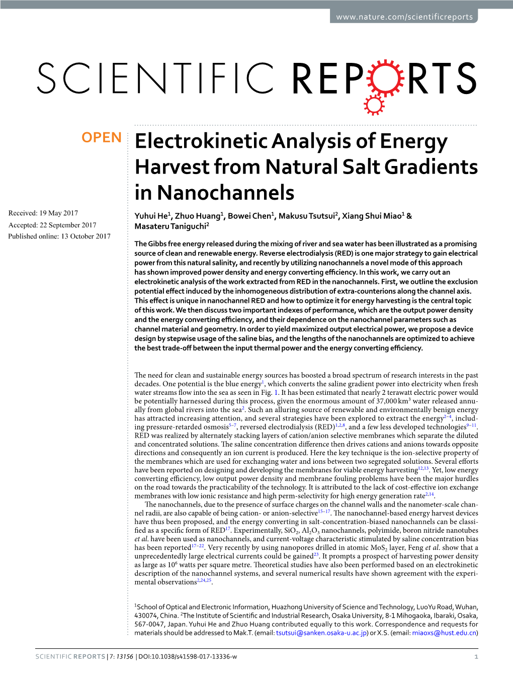 Electrokinetic Analysis of Energy Harvest from Natural Salt Gradients in Nanochannels