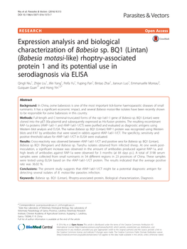 Expression Analysis and Biological Characterization of Babesia Sp. BQ1 (Lintan) (Babesia Motasi-Like) Rhoptry-Associated Protein