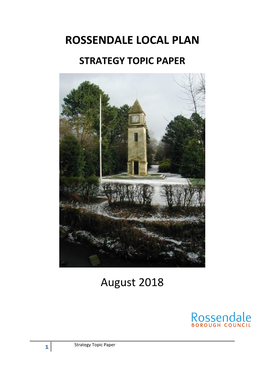 Strategy Topic Paper