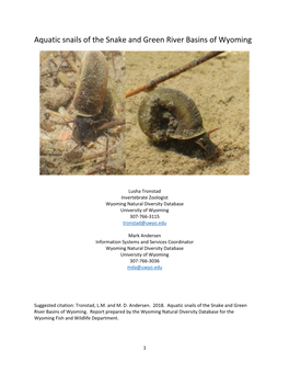 Aquatic Snails of the Snake and Green River Basins of Wyoming