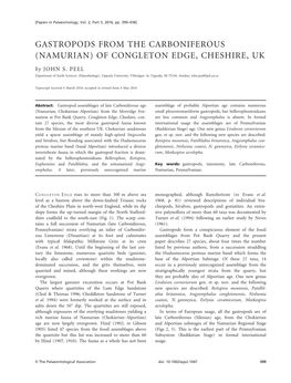 GASTROPODS from the CARBONIFEROUS (NAMURIAN) of CONGLETON EDGE, CHESHIRE, UK by JOHN S