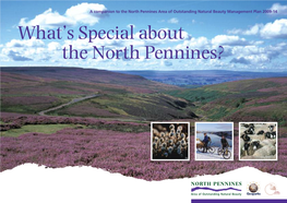 LD120 North Pennines AONB Management Plan 2009-2014