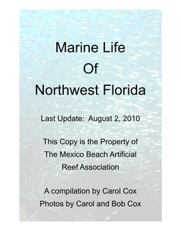 Marine Life of Northwest Florida