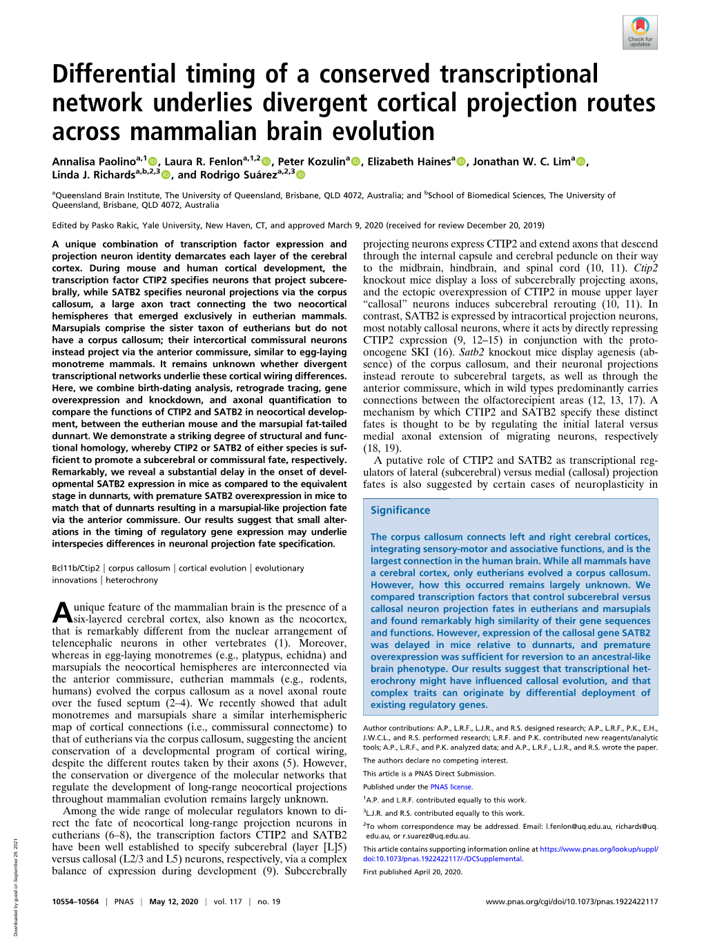 Differential Timing of a Conserved Transcriptional Network Underlies Divergent Cortical Projection Routes Across Mammalian Brain Evolution