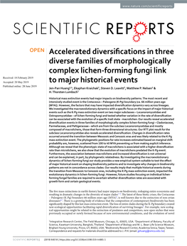 Accelerated Diversifications in Three Diverse Families of Morphologically