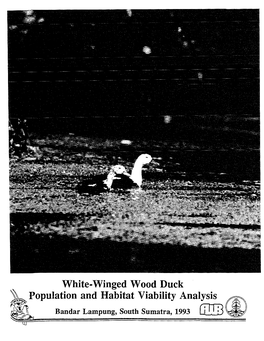 White Winged Wood Duck PHVA 1993.Pdf