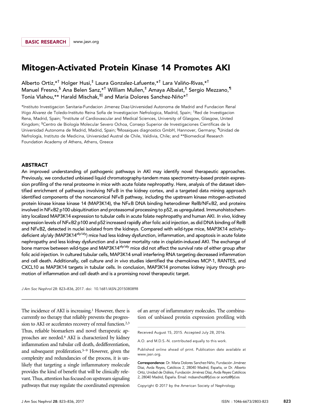 Mitogen-Activated Protein Kinase 14 Promotes AKI