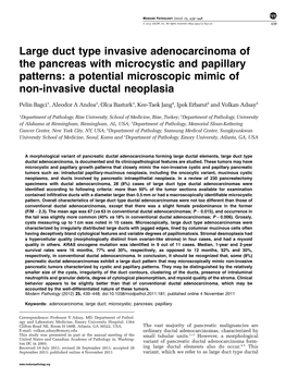Large Duct Type Invasive Adenocarcinoma of the Pancreas with Microcystic and Papillary Patterns: a Potential Microscopic Mimic of Non-Invasive Ductal Neoplasia