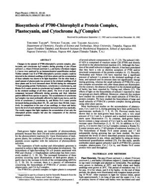 Biosynthesis of P700-Chlorophyll a Protein Complex, Plastocyanin, And