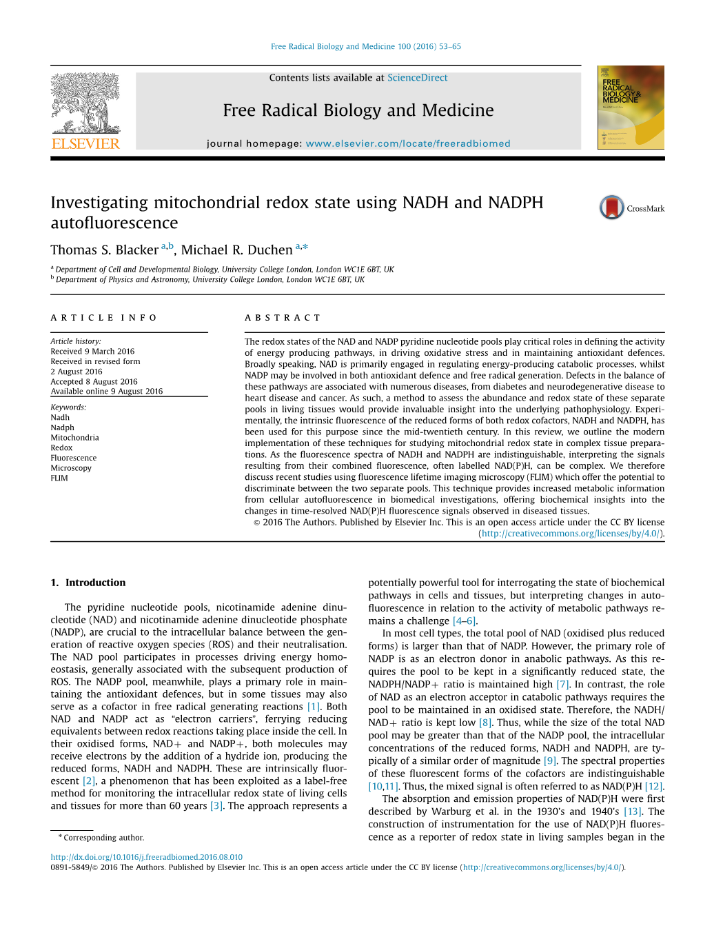 Investigating Mitochondrial Redox State Using NADH and NADPH Autoﬂuorescence