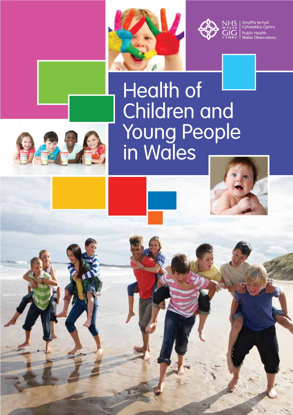 Health of Children and Young People in Wales