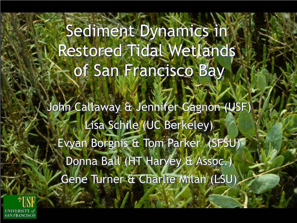 Sediment Dynamics in Restored Tidal Wetlands of San Francisco Bay