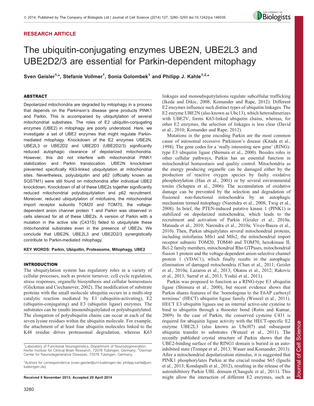 The Ubiquitin-Conjugating Enzymes UBE2N, UBE2L3 and UBE2D2/3