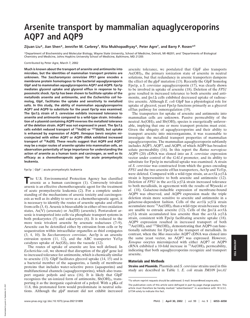 Arsenite Transport by Mammalian Aquaglyceroporins AQP7 and AQP9