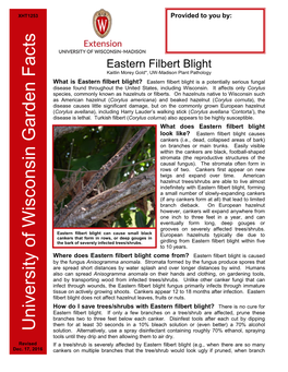 Eastern Filbert Blight Kaitlin Morey Gold*, UW-Madison Plant Pathology