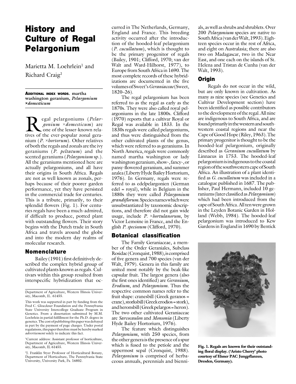 History and Culture of Regal Pelargonium