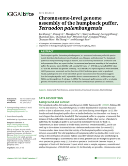 Chromosome-Level Genome Assembly of the Humpback Puffer, Tetraodon Palembangensis