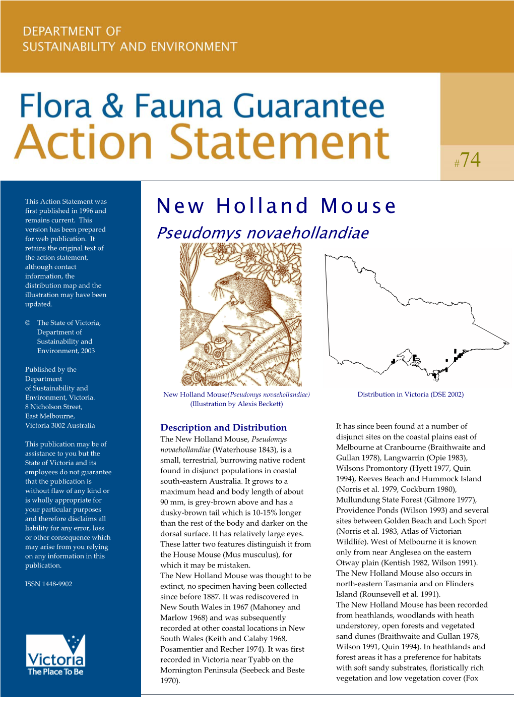 New Holland Mouse (Pseudomys Novaehollandiae)