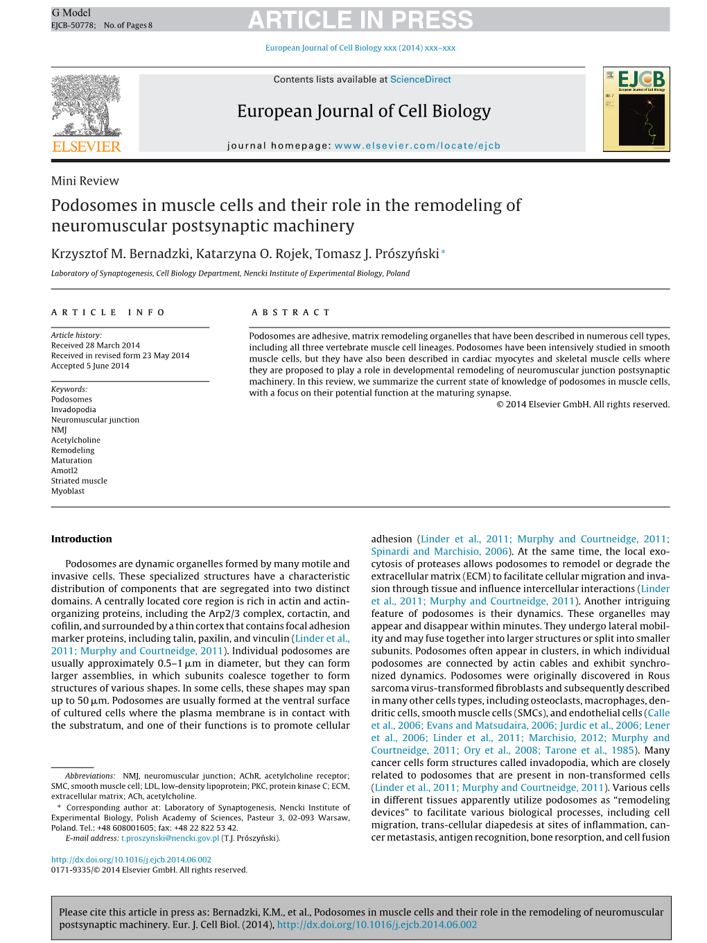 Podosomes in Muscle Cells and Their Role in the Remodeling of Neuromuscular Postsynaptic Machinery