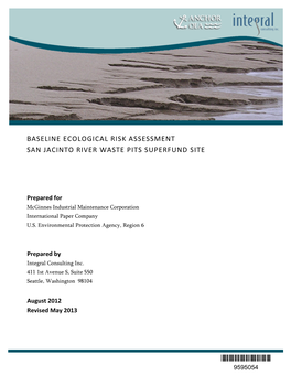 [Baseline Ecological Risk Assessment for San Jacinto