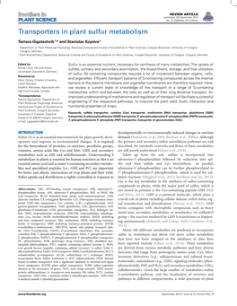 Transporters in Plant Sulfur Metabolism