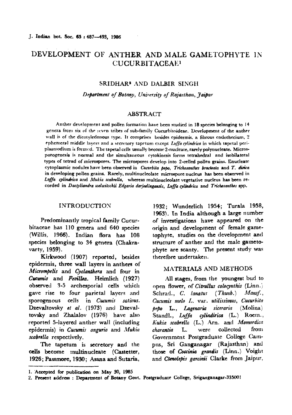 DEVELOPMENT of ANTHER and MALE GAMETOPHYTE L\ Cugurbitageaei