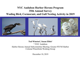 NYC Audubon's Harbor Herons Program 35Th Annual Survey