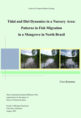 Tidal and Diel Dynamics in a Nursery Area: Patterns in Fish Migration in a Mangrove in North Brazil