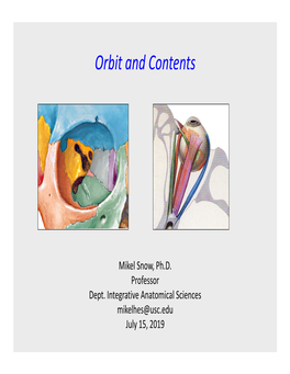 Orbit and Contents