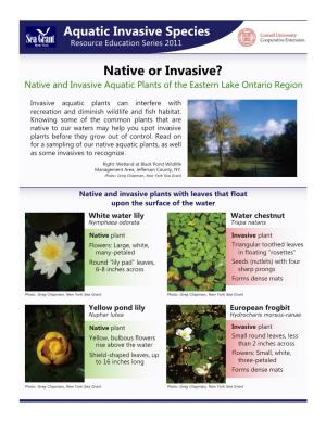 Native Or Invasive? Native and Invasive Aquatic Plants of the Eastern Lake Ontario Region