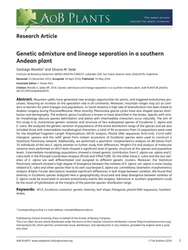 Genetic Admixture and Lineage Separation in a Southern Andean Plant